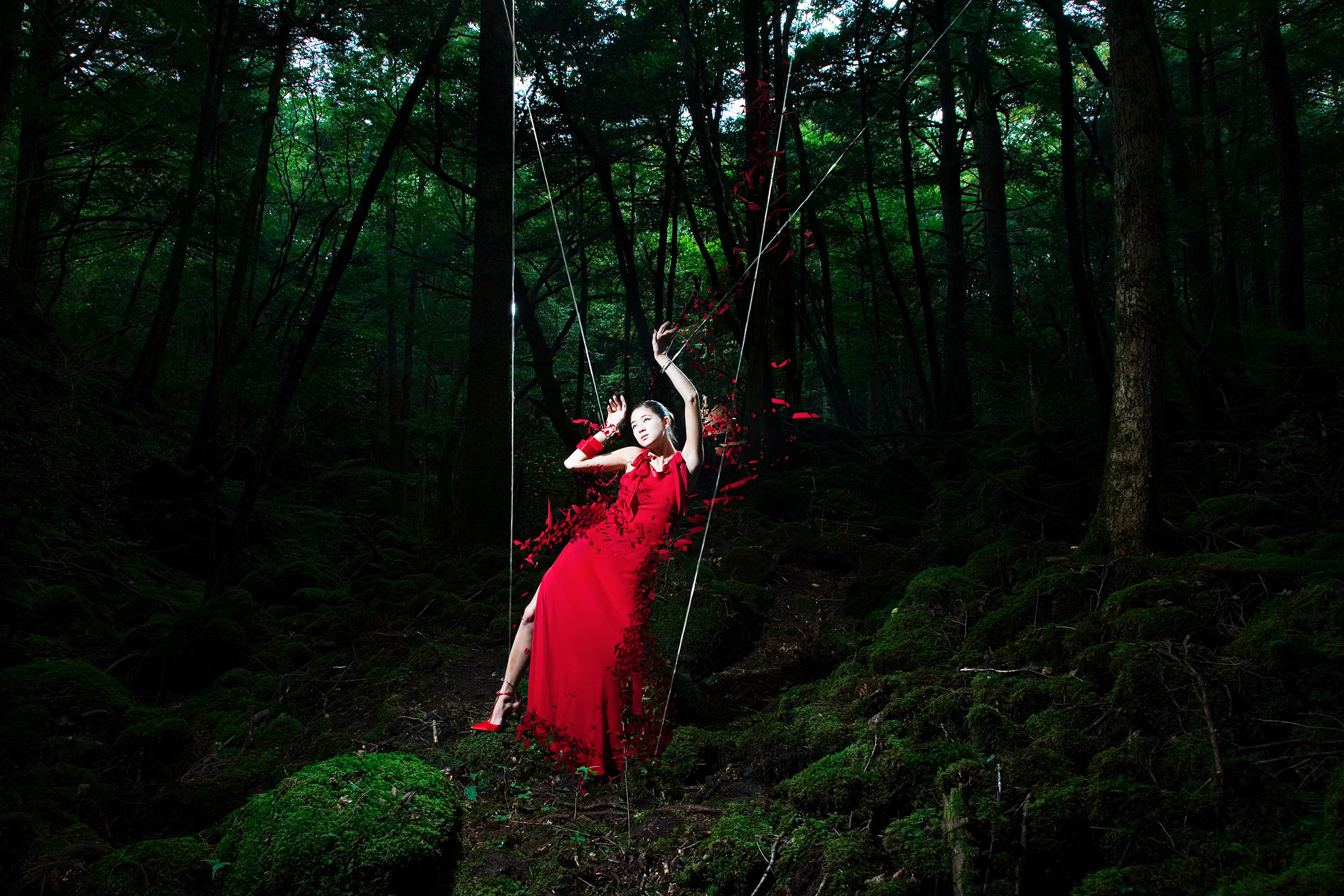 Strings ♯1 , W and Y